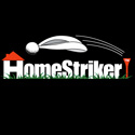 Home Striker Balls
